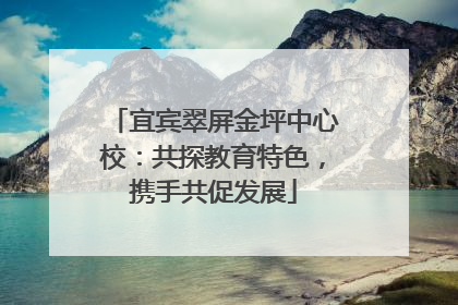宜宾翠屏金坪中心校：共探教育特色，携手共促发展