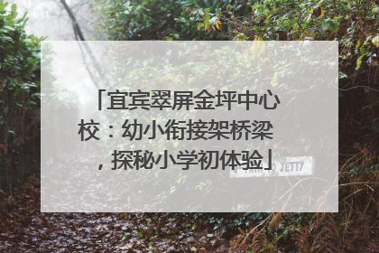 宜宾翠屏金坪中心校：幼小衔接架桥梁，探秘小学初体验