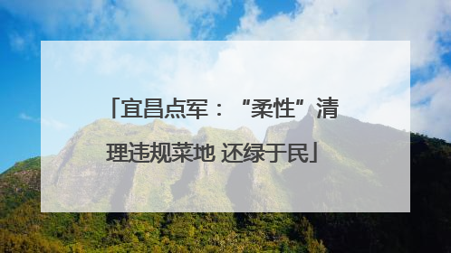 宜昌点军：“柔性”清理违规菜地 还绿于民