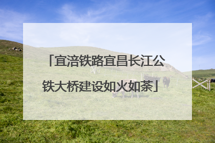 宜涪铁路宜昌长江公铁大桥建设如火如荼