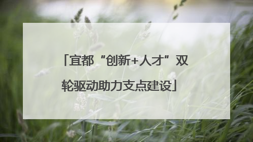 宜都“创新+人才”双轮驱动助力支点建设
