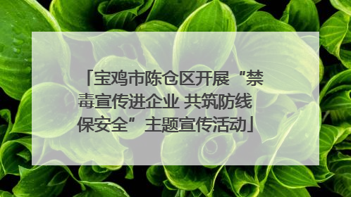宝鸡市陈仓区开展“禁毒宣传进企业 共筑防线保安全”主题宣传活动