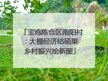 宝鸡陈仓区南阳村：大棚经济结硕果 乡村振兴绘新图