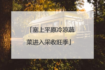 塞上平原冷凉蔬菜进入采收旺季