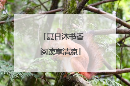 夏日沐书香 阅读享清凉
