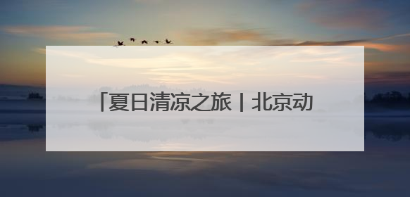 夏日清凉之旅丨北京动物园的奇妙夏日大赏
