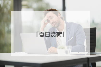 夏日赏荷