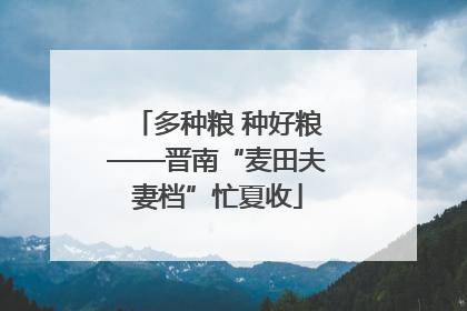 多种粮 种好粮——晋南“麦田夫妻档”忙夏收