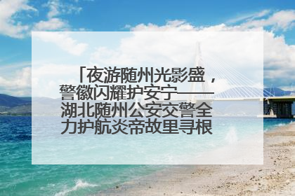 夜游随州光影盛，警徽闪耀护安宁——湖北随州公安交警全力护航炎帝故里寻根节夜游活动侧记