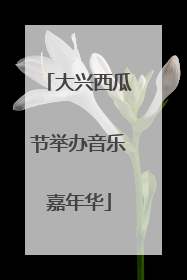 大兴西瓜节举办音乐嘉年华