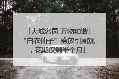 大城名园 万物和谐│“白衣仙子”盛放引围观，花期仅剩半个月