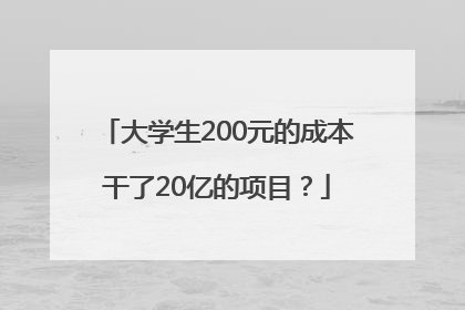 大学生200元的成本干了20亿的项目？