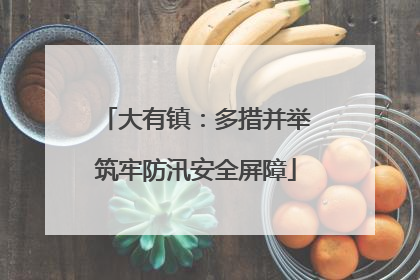 大有镇：多措并举筑牢防汛安全屏障