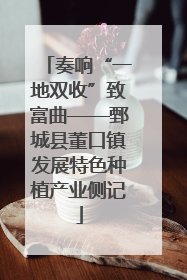 奏响“一地双收”致富曲——鄄城县董口镇发展特色种植产业侧记