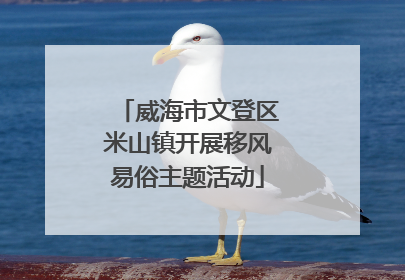 威海市文登区米山镇开展移风易俗主题活动