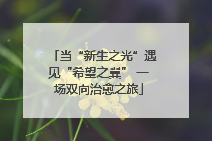 当“新生之光”遇见“希望之翼” 一场双向治愈之旅