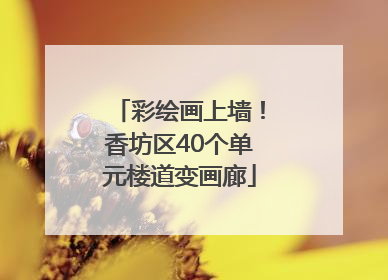 彩绘画上墙！香坊区40个单元楼道变画廊
