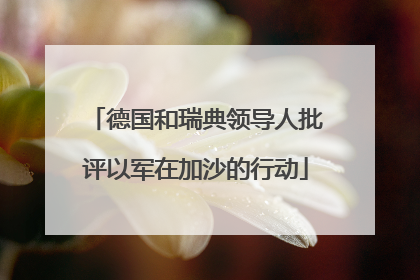 德国和瑞典领导人批评以军在加沙的行动