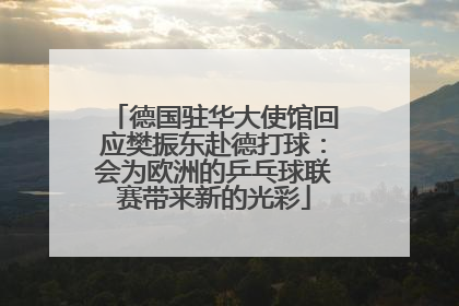 德国驻华大使馆回应樊振东赴德打球：会为欧洲的乒乓球联赛带来新的光彩