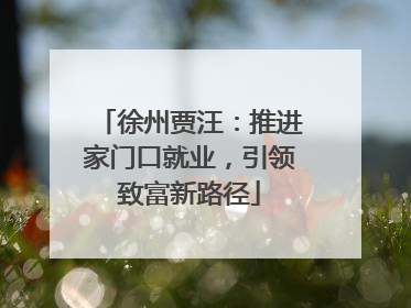 徐州贾汪：推进家门口就业，引领致富新路径