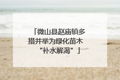 微山县赵庙镇多措并举为绿化苗木“补水解渴”