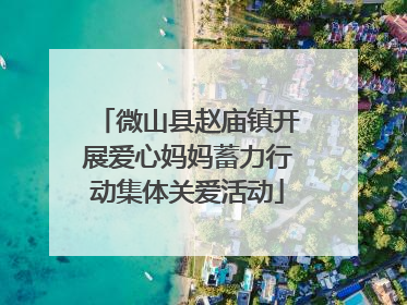 微山县赵庙镇开展爱心妈妈蓄力行动集体关爱活动