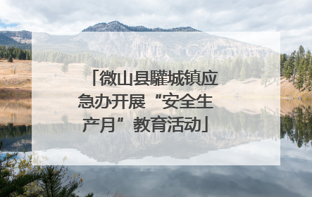 微山县驩城镇应急办开展“安全生产月”教育活动