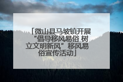 微山县马坡镇开展“倡导移风易俗 树立文明新风”移风易俗宣传活动