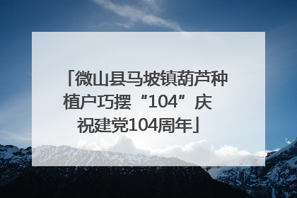微山县马坡镇葫芦种植户巧摆“104”庆祝建党104周年