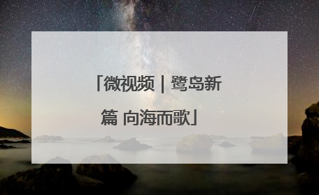 微视频｜鹭岛新篇 向海而歌