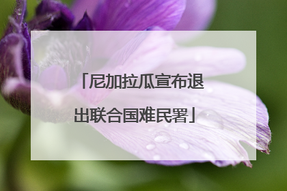 尼加拉瓜宣布退出联合国难民署