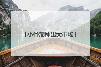 小番茄种出大市场