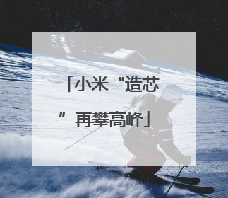 小米“造芯”再攀高峰