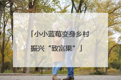 小小蓝莓变身乡村振兴“致富果”