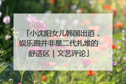 小沈阳女儿韩国出道，娱乐圈并非星二代扎堆的舒适区｜文艺评论
