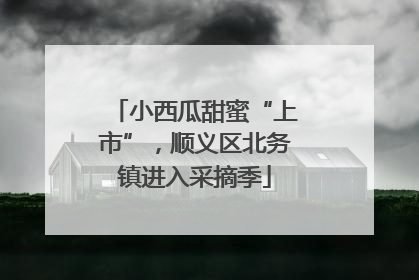 小西瓜甜蜜“上市”，顺义区北务镇进入采摘季