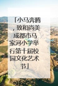 小马奔腾，致和尚美 成都市马家河小学举行第十届校园文化艺术节