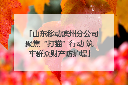 山东移动滨州分公司聚焦“打猫”行动 筑牢群众财产防护堤