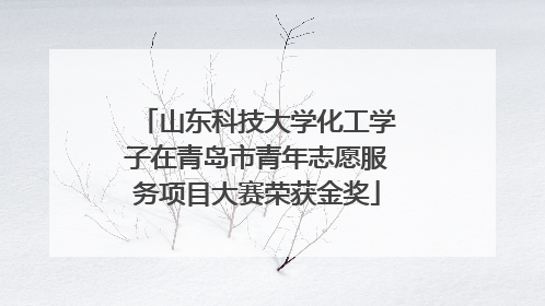 山东科技大学化工学子在青岛市青年志愿服务项目大赛荣获金奖