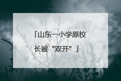 山东一小学原校长被“双开”