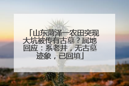 山东菏泽一农田突现大坑被传有古墓？属地回应：系老井，无古墓迹象，已回填