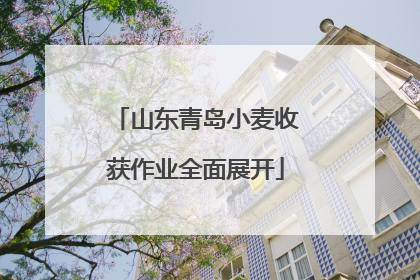 山东青岛小麦收获作业全面展开