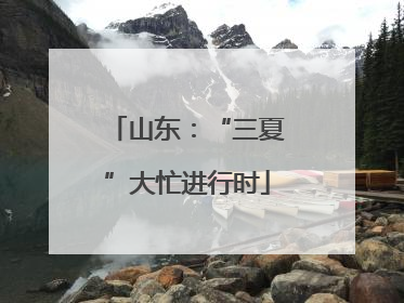 山东：“三夏”大忙进行时