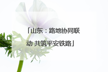 山东：路地协同联动 共筑平安铁路
