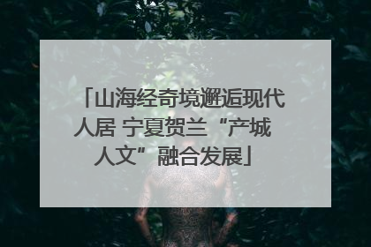 山海经奇境邂逅现代人居 宁夏贺兰“产城人文”融合发展