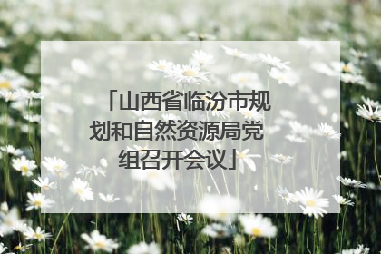山西省临汾市规划和自然资源局党组召开会议