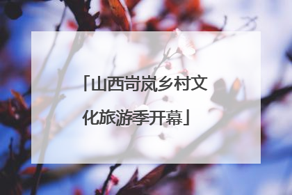 山西岢岚乡村文化旅游季开幕