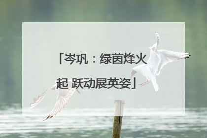 岑巩：绿茵烽火起 跃动展英姿