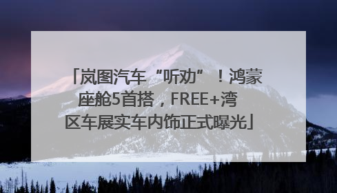 岚图汽车“听劝”！鸿蒙座舱5首搭，FREE+湾区车展实车内饰正式曝光