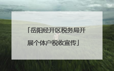 岳阳经开区税务局开展个体户税收宣传